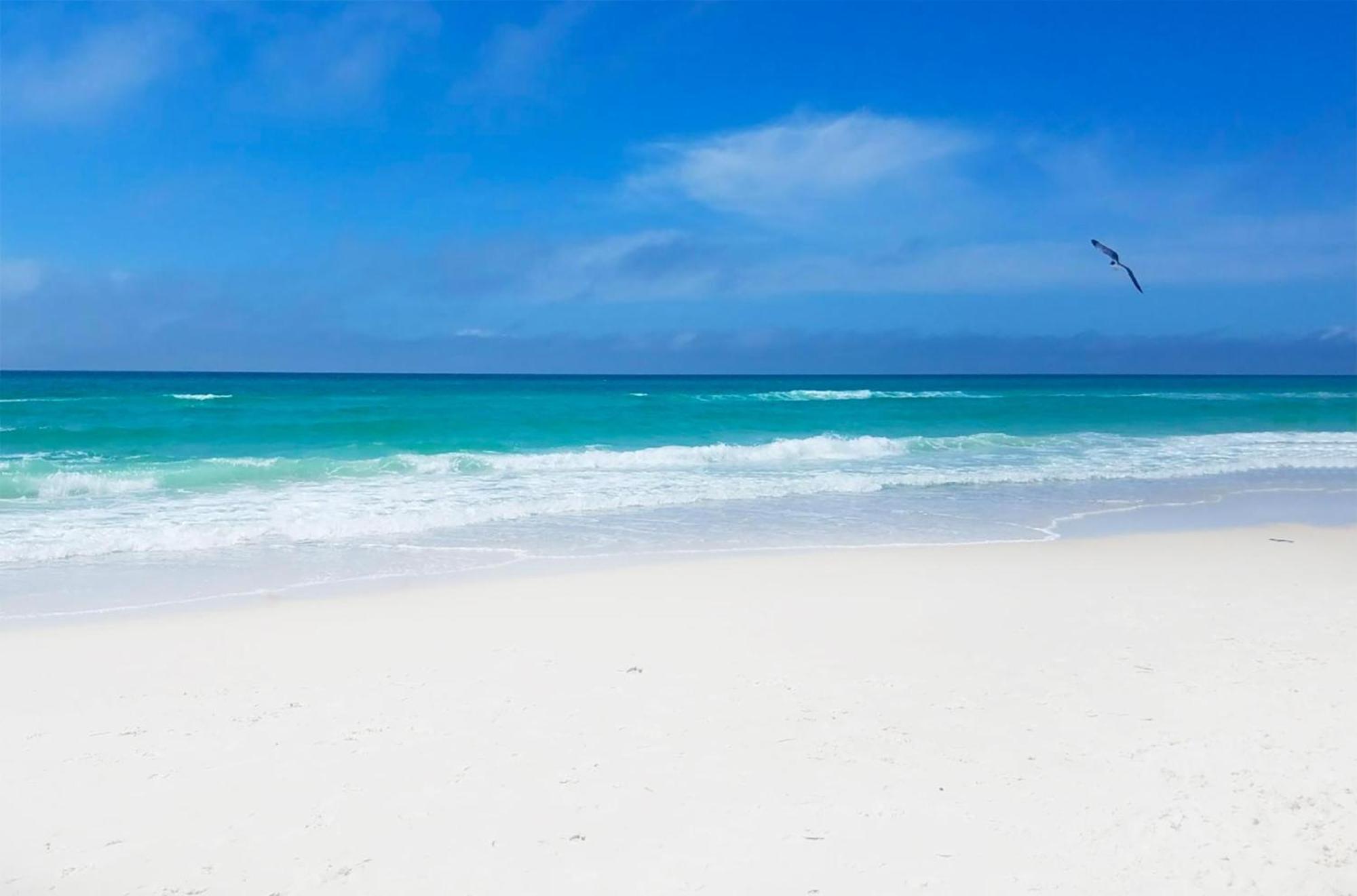 Apartament Twin Palms 804 Panama City Beach Zewnętrze zdjęcie